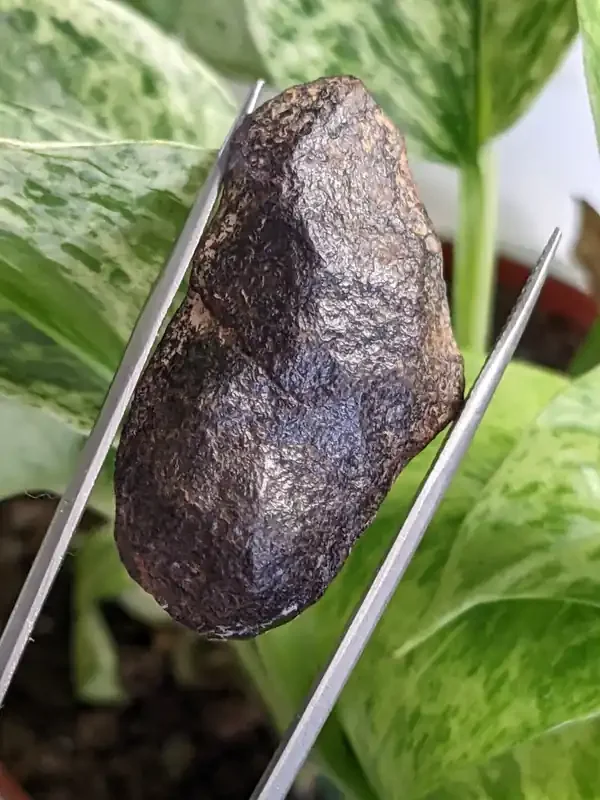 14 g Gibeon Meteorite, Iron and Nickel Meteorite, Gibeon, Namibia
