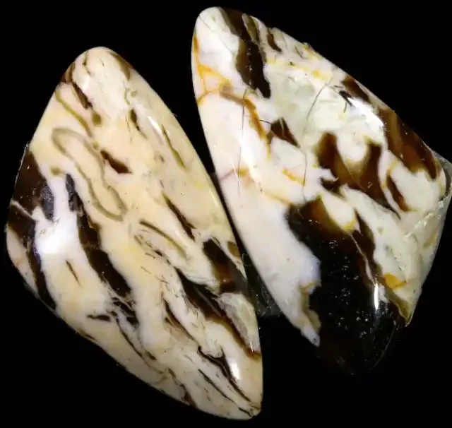 16.75 CTS RARE PAIR PEANUT WOOD FOSSIL POLISHED STONE [MGW5134]