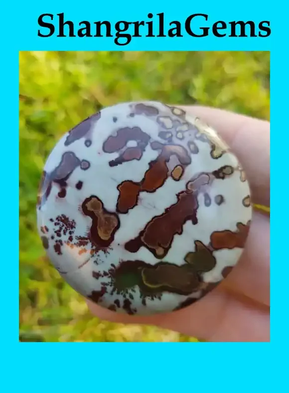 48mm Rhyolite Rainforest Jasper cabochon round