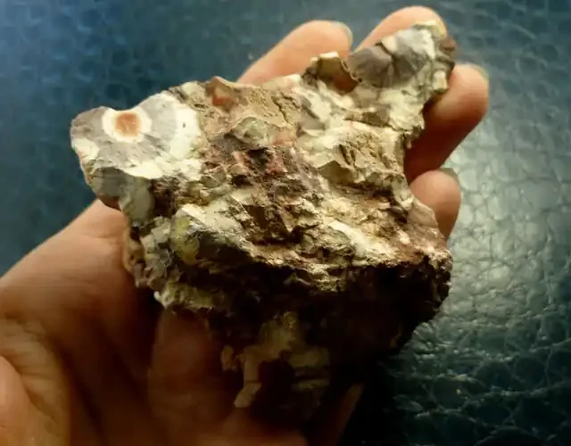 610 CTS BIRDS EYE RHYOLITE ROUGH RT 2451