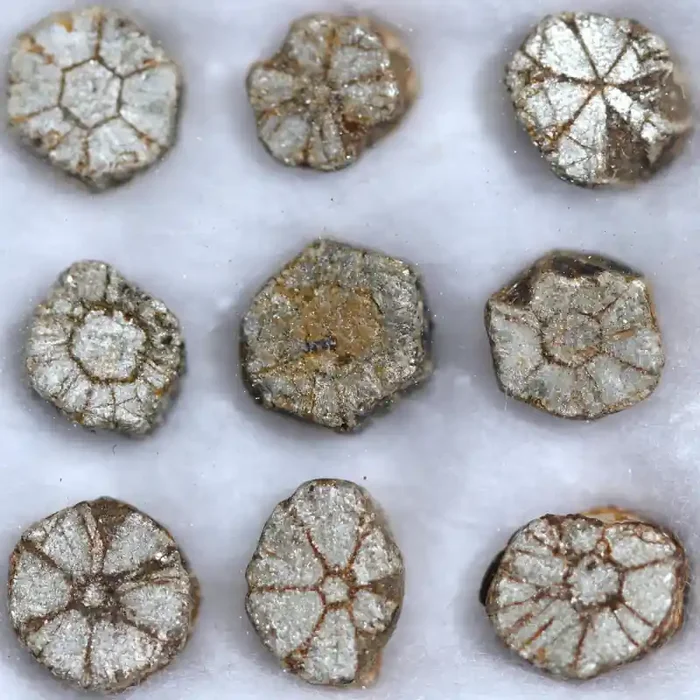 7.00 CTS CHERRY BLOSSOM SILVER /GOLDEN PARCEL [STS1665]