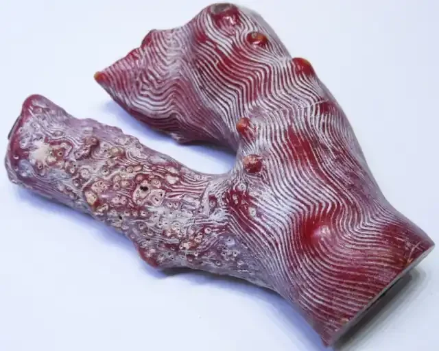 820Cts Natural red coral specimen BU1714