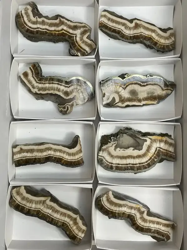 Barite with Marcasite Wholesale Flat from Poland