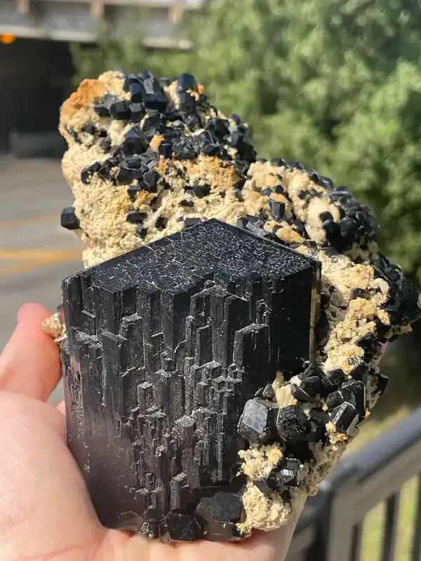Black Tourmaline Cluster on Feldspar with Mercedes Benz termination from Erongo Mountain, Erongo Region, Namibia