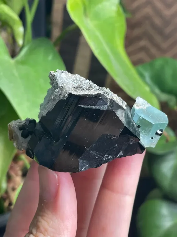 Black Tourmaline Specimen with Aquamarine and Hyalite Opal from Erongo Mountain, Erongo Region, Namibia