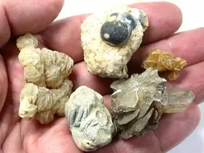 FOUR AUSSIE SPECIMEN FROM DIDILLIBAH QLD . RN1449