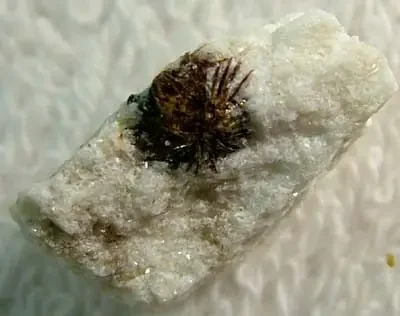 (MGW) ASTROPHYLLITE SPECIMEN IN MATRIX 15 CTS FP 437