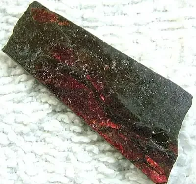 (MGW) CANADIAN AMMOLITE 20 CTS FP 104