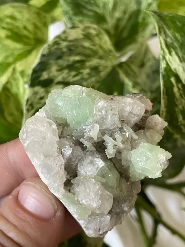 Prehnite on Quartz Matrix, Specimen from Xoboxobos, Brandberg District, Namibia