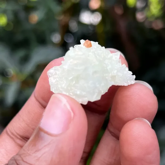 Prehnite, Xoboxobos, Brandberg District, Namibia